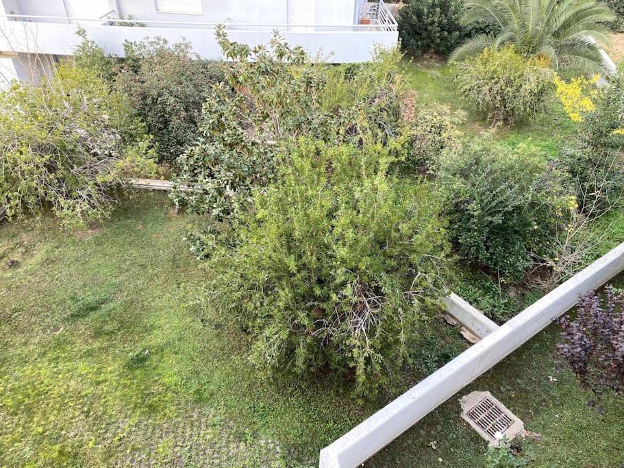 Spacious And Sunkissed 3Br & 2 Bathrooms Apartment Атина Екстериор снимка
